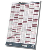 Ascot 2026 Wheel Lug Torque Chart