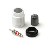 Import 20096AK TPMS Service Kit for Ford (Each)